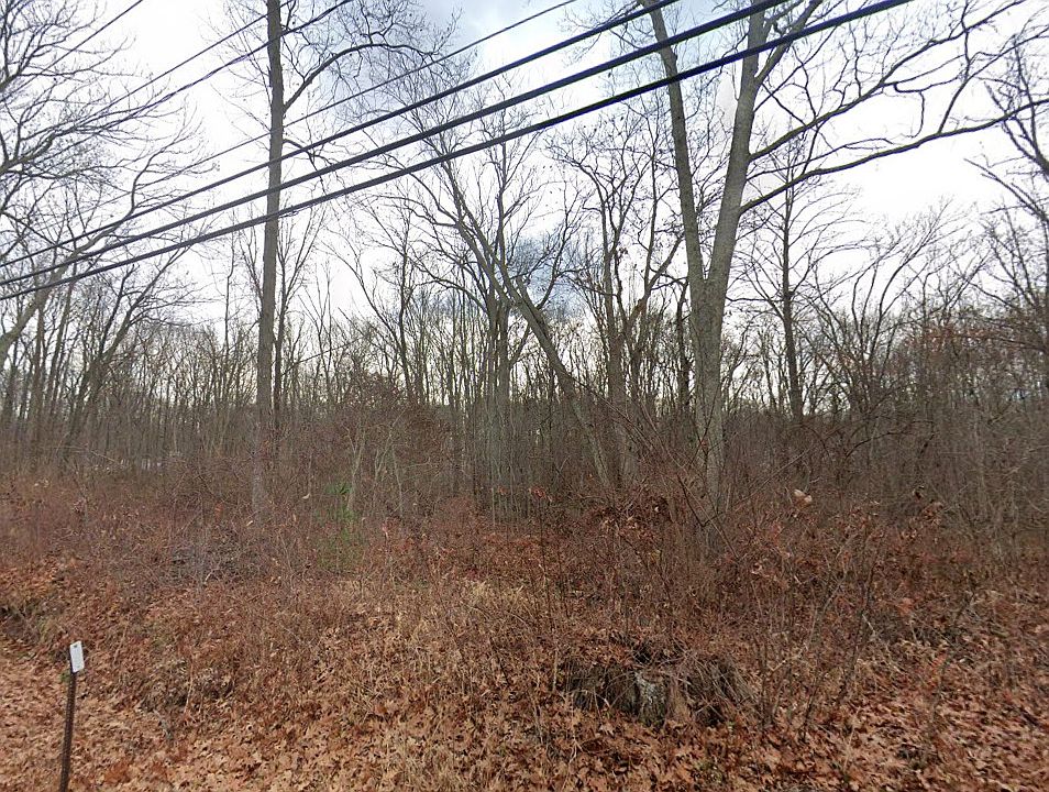 2nd image of Daly Road