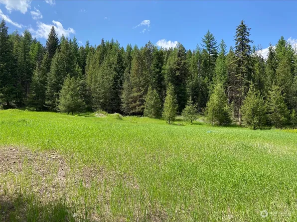 0 W Fork Road, Wauconda, WA 98859
