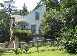 Back View