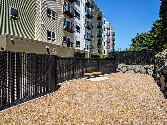 Dog Park