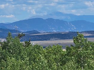 3130 High Creek Road, Fairplay, CO 80440