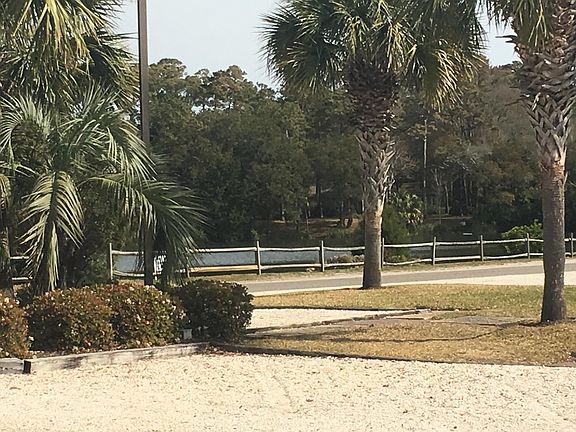 Just across the street there is a fantastic duck pond!