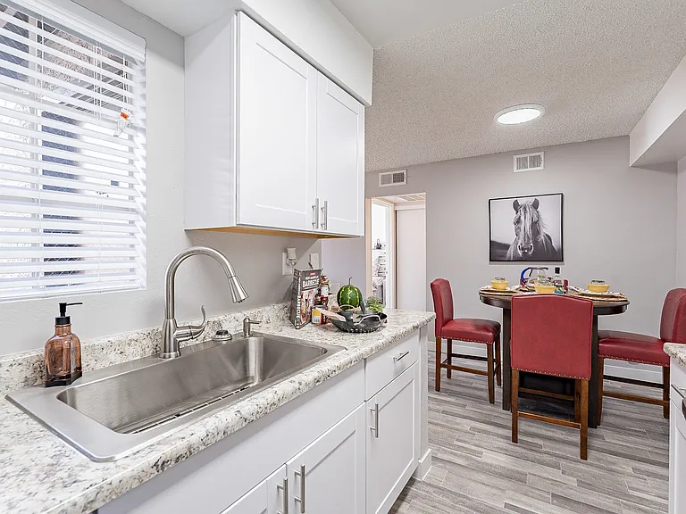 Model- Large one bedroom floor plan