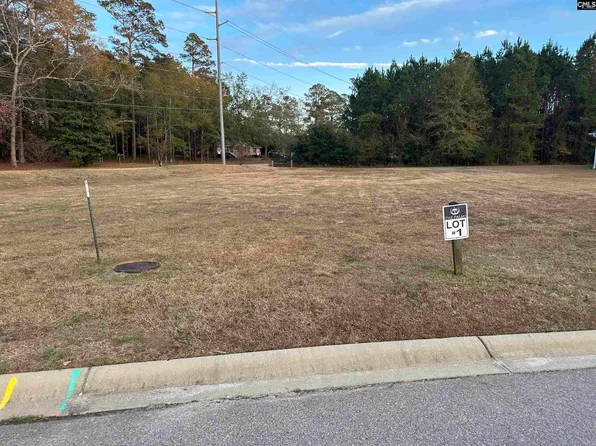 111 Sago Palm Dr #1, Orangeburg, SC 29118