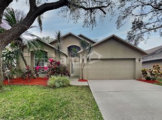 2520 Clareside Dr, Valrico, FL 33596