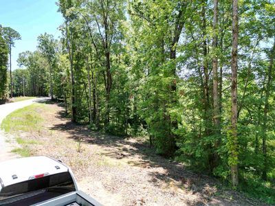 75 Lilly Taylor Rd, Pocahontas, TN, 38061