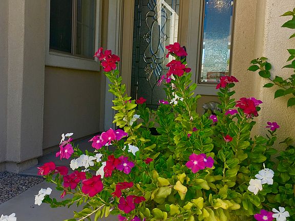 5th image of 40960 Calle Santa Sofia