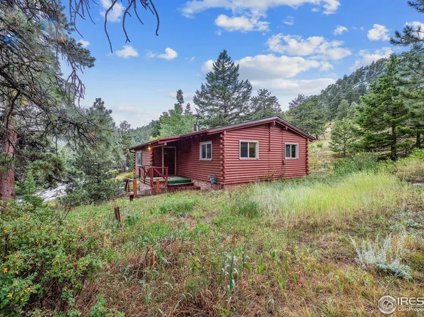 11197 Circle Dr, Golden, CO 80403