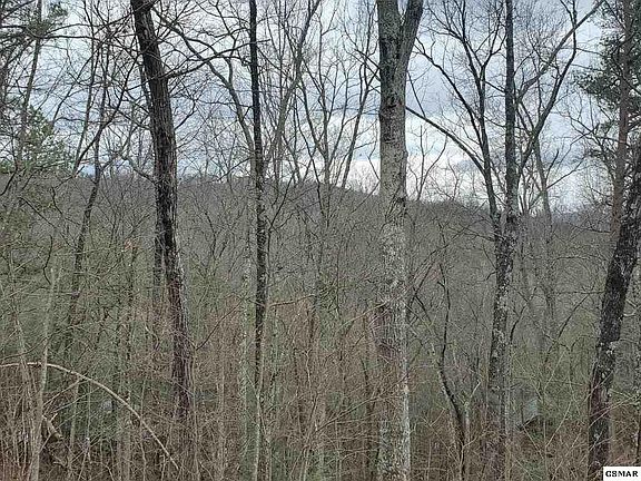 4th image of 417 Ski View Ln Lot 417