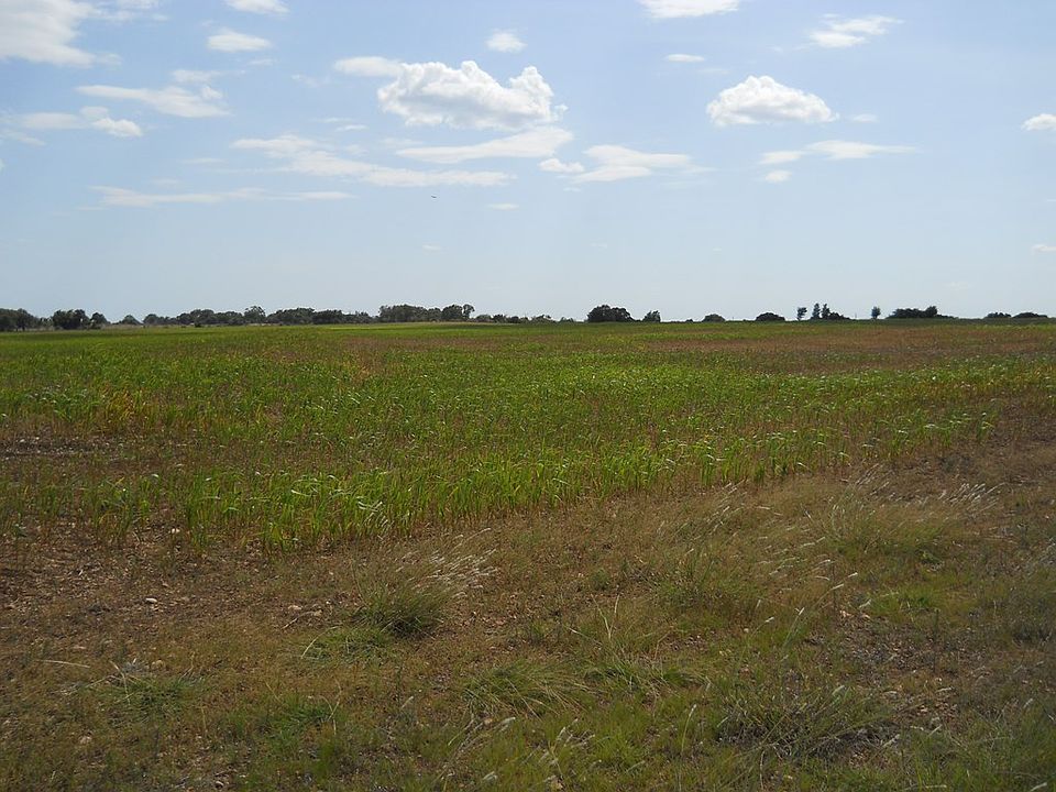 2nd image of 0 Cut Off Rd