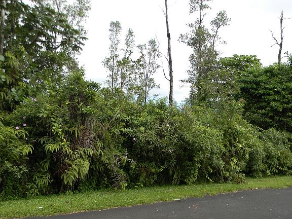 2nd image of Anthurium Dr Lot 65