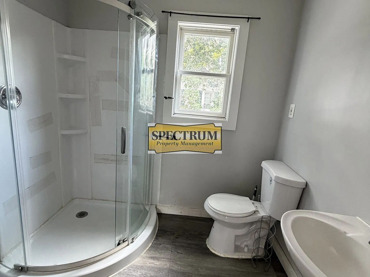 1 bed, $800 — Photo 4