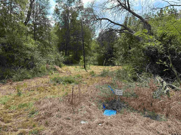 Fm 838, Overton, TX 75684