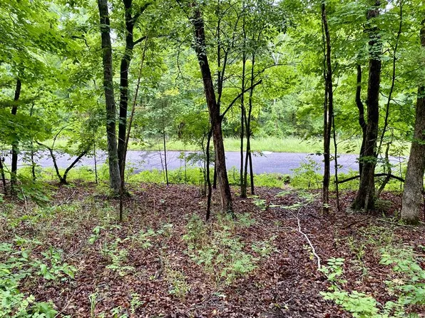 Thunderbird Ln #35, Eureka Springs, AR 72631