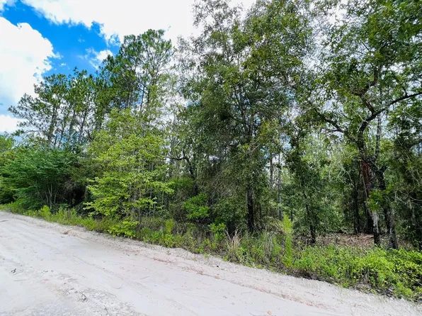 Lot 10 NW 116th Ave, Bell, FL 32619