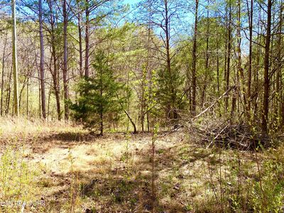 396 Beulah Rd, Tellico Plains, TN, 37385