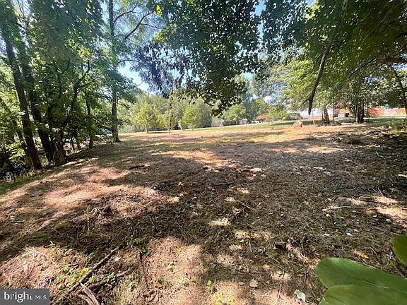 4th image of 1005 Sero Estates Dr