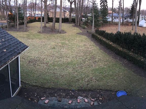 Back yard