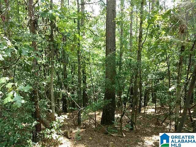 2nd image of Lakeview Ter #8