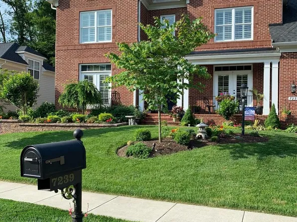 7239 Windsor Ln, Hyattsville, MD 20782