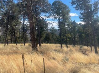 104 Merlyn Dr, Ruidoso, NM 88345