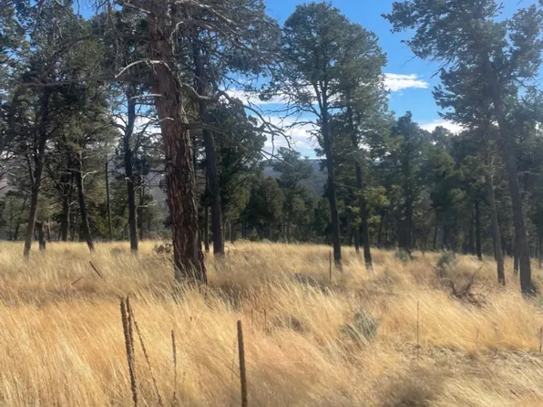 104 Merlyn Dr, Ruidoso, NM 88345