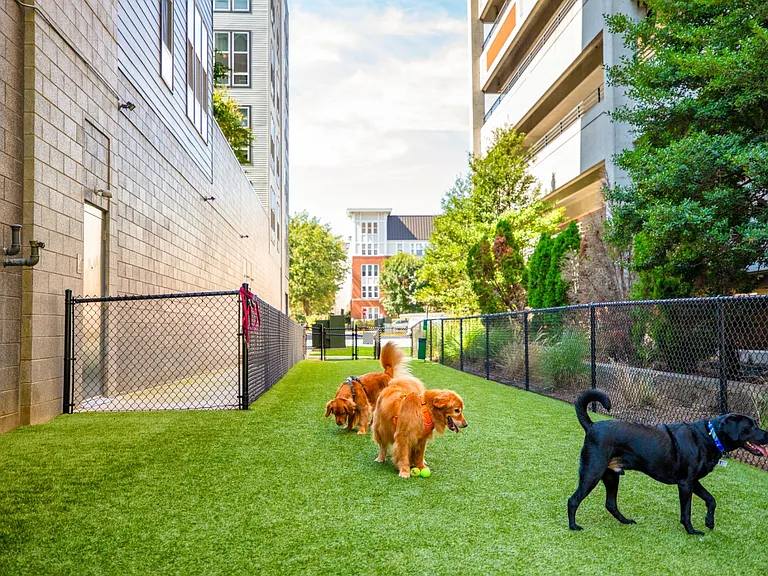 Halstead Square - Lotus & Lofts — Photo 11