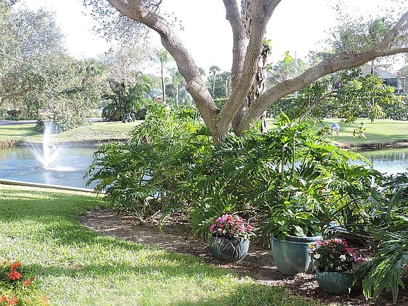 View from  enclosed sunroom