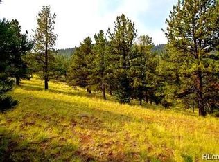 111 Isabel Claim, Cripple Creek, CO 80813