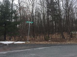 Owl Hollow Dr, Tannersville, PA 18372