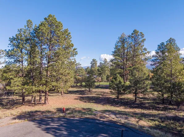 274 Puma Ln, Ridgway, CO 81432