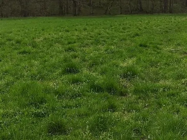 890 Boatman Rd, Smiths Grove, KY 42171