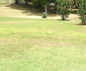1st image of 202 Brook Pine Dr