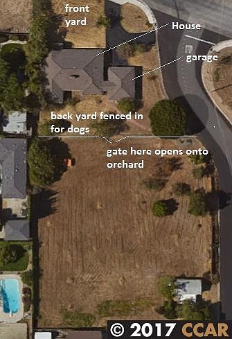 2nd image of 910 E 18th St