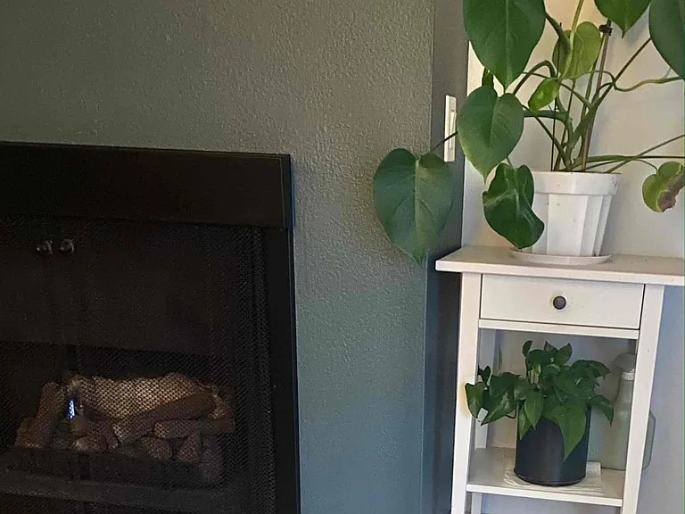 2841 S Fairview St #4 — Photo 7