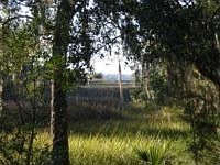2nd image of 5181 Chisolm Rd