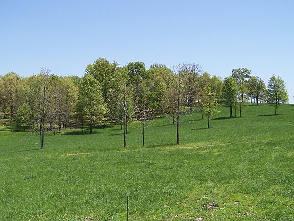 5th image of 9586 County Road 7190