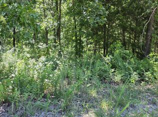 000 Hidden Pond Drive #36, Fordland, MO 65652