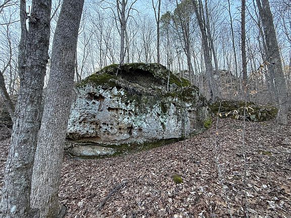 3rd image of 9991 Red Hill Rd