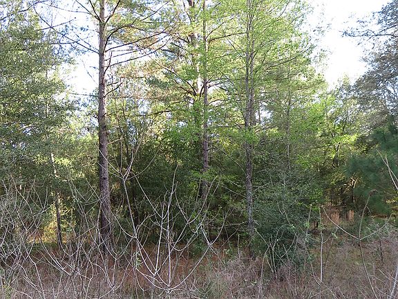 2nd image of SE 197th Ave