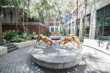 Rented by Douglas Elliman