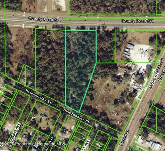 16407 Hviezdoslav St, Brooksville, FL, 34604