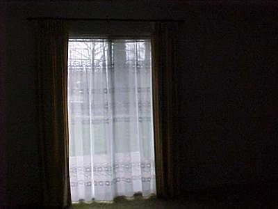 5th image of 1168 Park Forest Dr