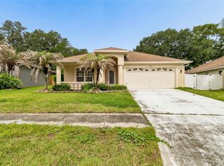 3041 Beaver Pond Trl, Valrico, FL 33596