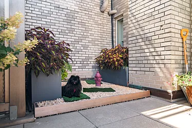 Rented by essential NEW YORK Real Estate