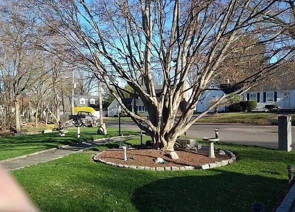 114 Spy Pond Pkwy #B — Photo 10