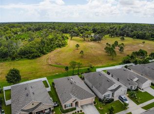 433 White Coral Ln, New Smyrna Beach, FL 32168