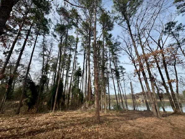 Private Road 2855, Pittsburg, TX 75686