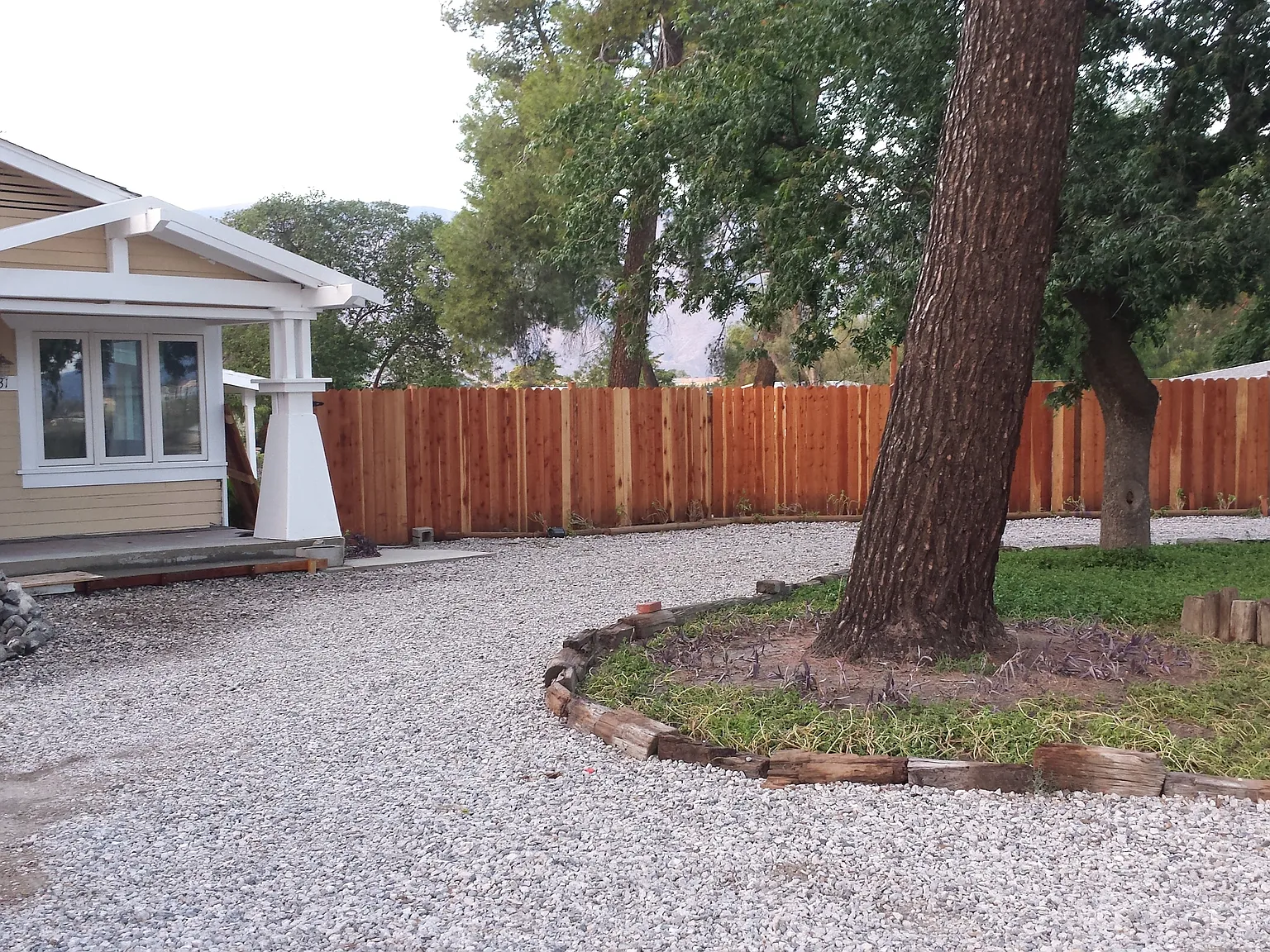 1431 Cottonwood Ave — Photo 3