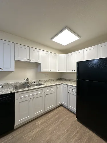 Fitz Apartments Photo 1